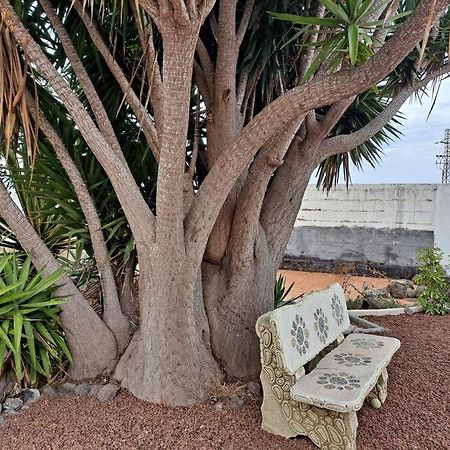Tenerife Apartment Dulcynea With Terrace And Garden 600M2 With Ocean And Teide View Icod De Los Vinos Dış mekan fotoğraf