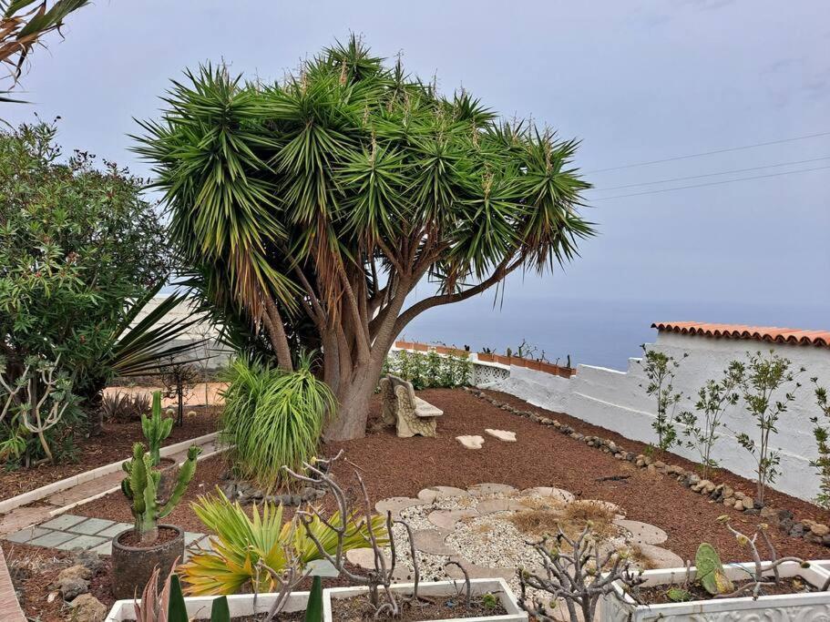 Tenerife Apartment Dulcynea With Terrace And Garden 600M2 With Ocean And Teide View Icod De Los Vinos Dış mekan fotoğraf