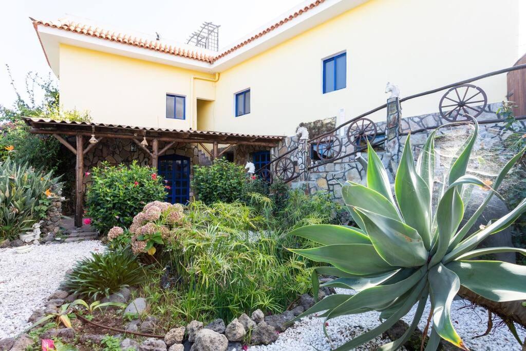 Tenerife Apartment Dulcynea With Terrace And Garden 600M2 With Ocean And Teide View Icod De Los Vinos Dış mekan fotoğraf