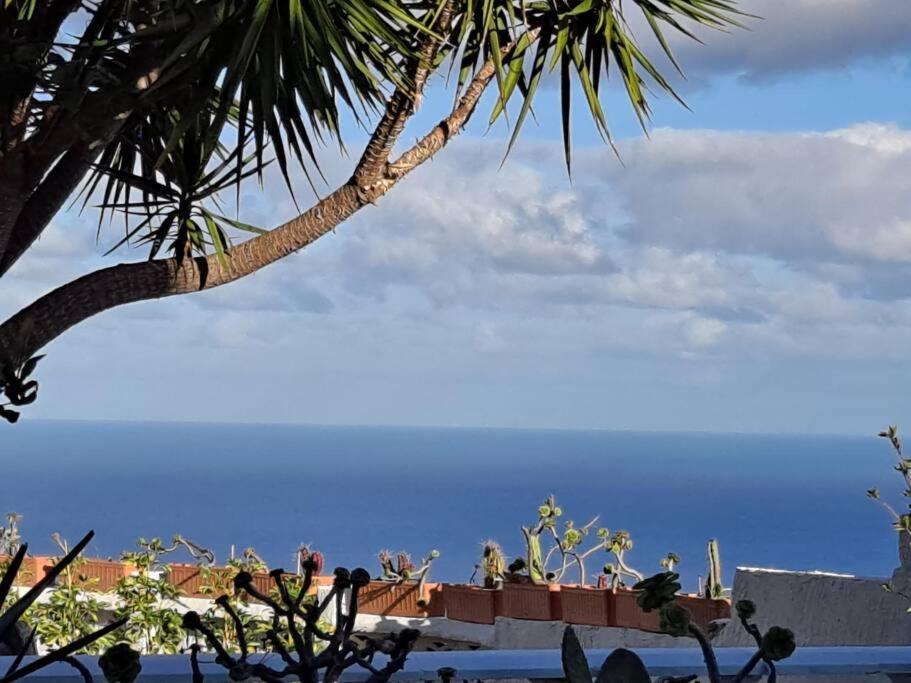 Tenerife Apartment Dulcynea With Terrace And Garden 600M2 With Ocean And Teide View Icod De Los Vinos Dış mekan fotoğraf